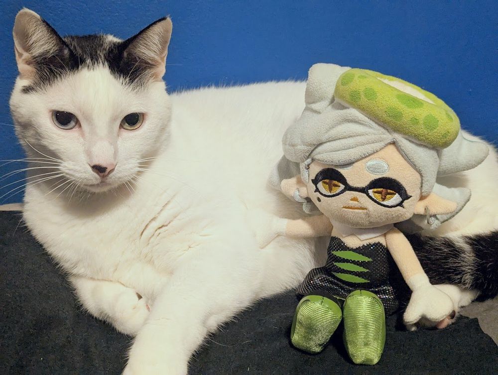 Marie Plush posing with my cat (domestic shorthair; white fur with black markings on top of his head and on his tail). My cat is lying on his side and Marie is sitting next to him, petting him. 