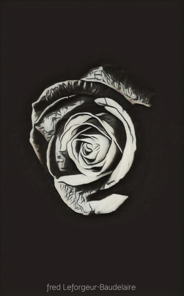 “Of course, i can believe in what i see or don't see, what i hear or don't hear, what i touch or don't touch. But i've always preferred to believe in what i feel.„

— ƒred Leƒorgeur-Baudelaire 

“Bien sûr, je peux croire en ce que je vois ou ne vois pas, en ce que j'entends ou n'entends pas, en ce que je touche ou ne touche pas. Néanmoins, j'ai toujours préféré croire en ce que je ressens.„
