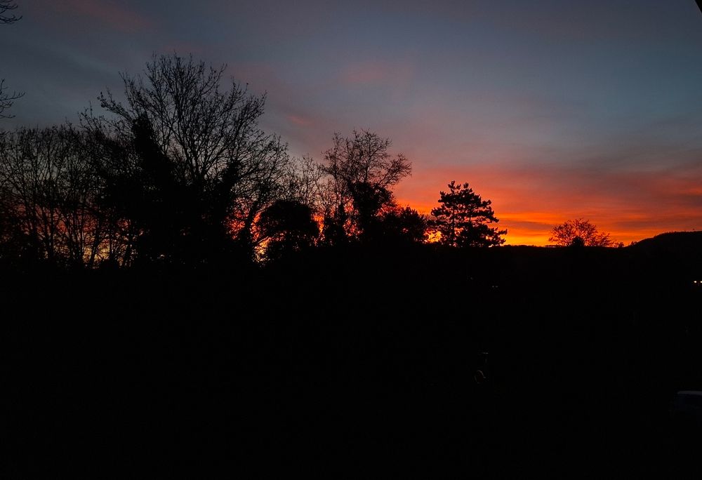 Morgenrot hinter Bäumen