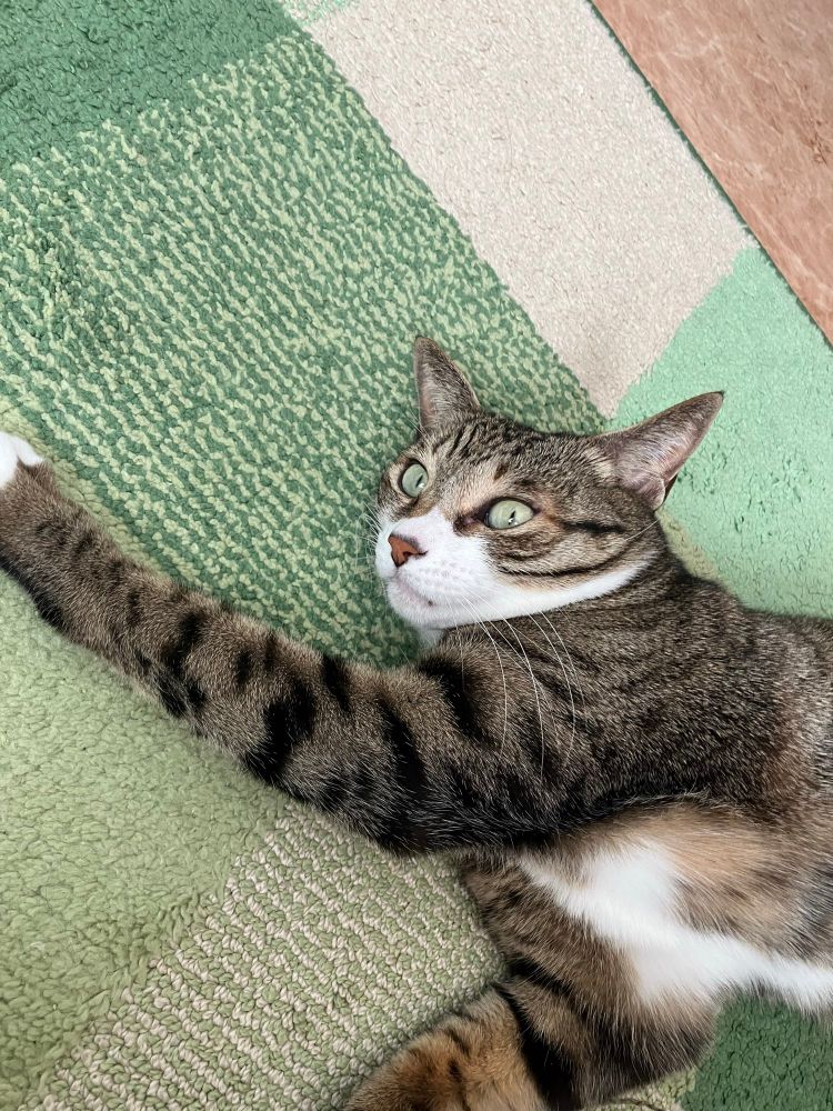 のびー