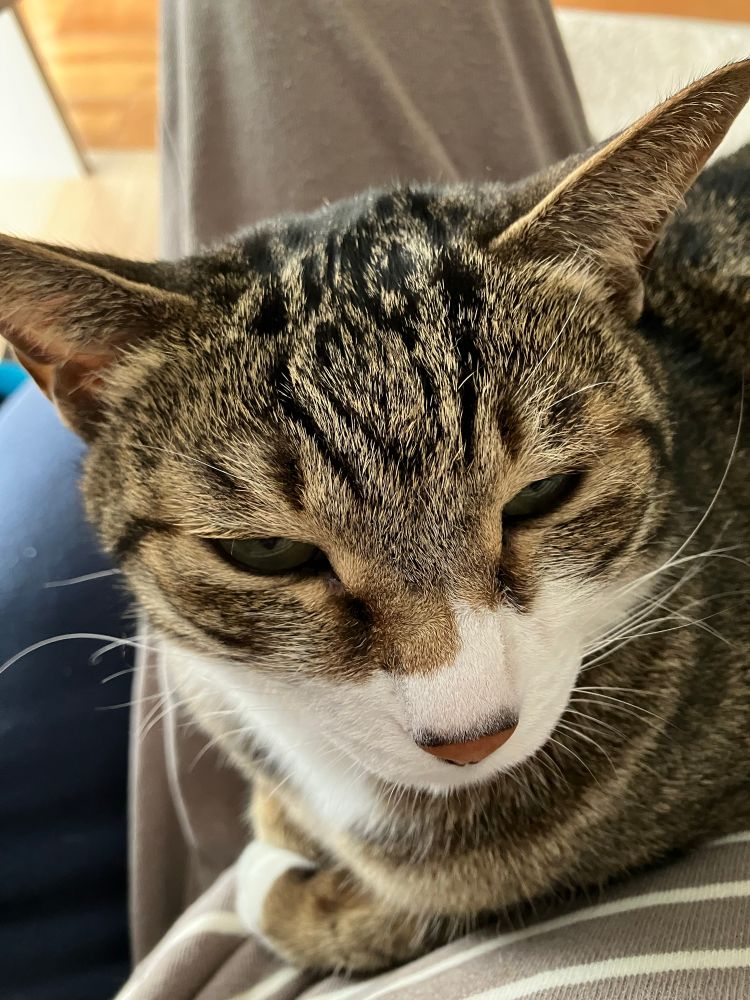 なんだか眠そう