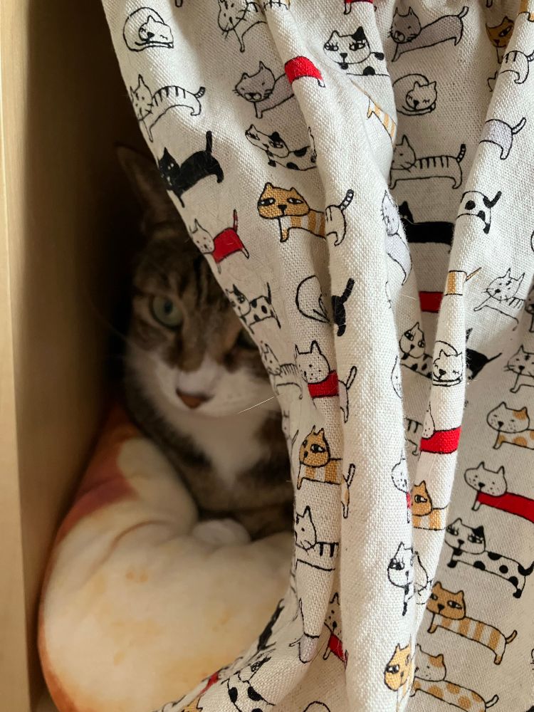 専用個室