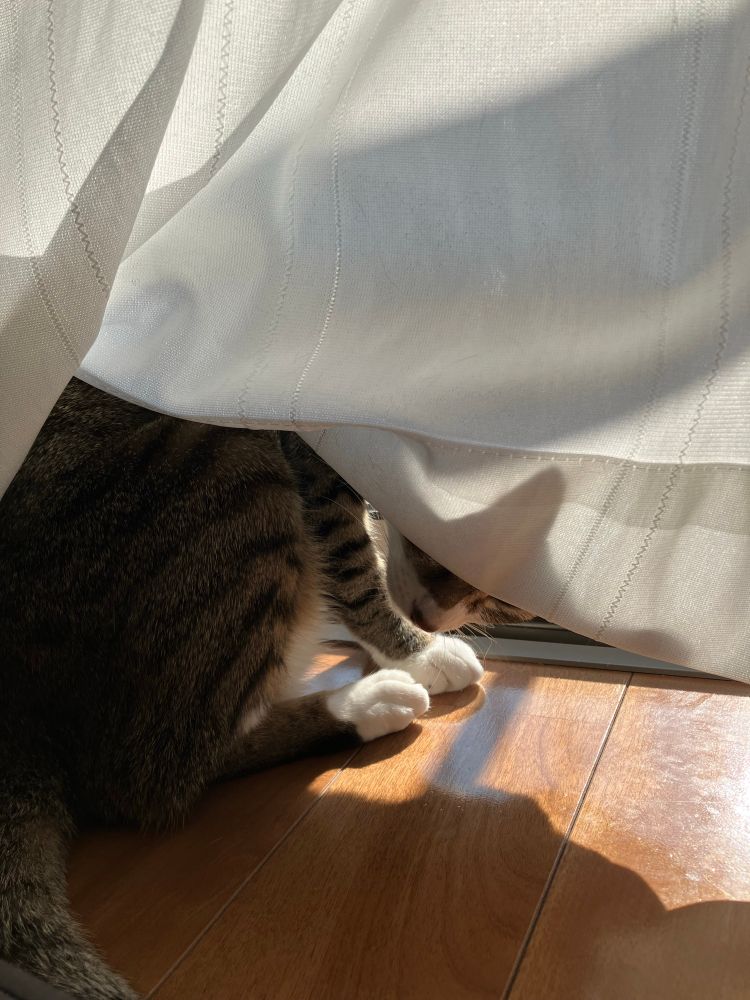下からちらり