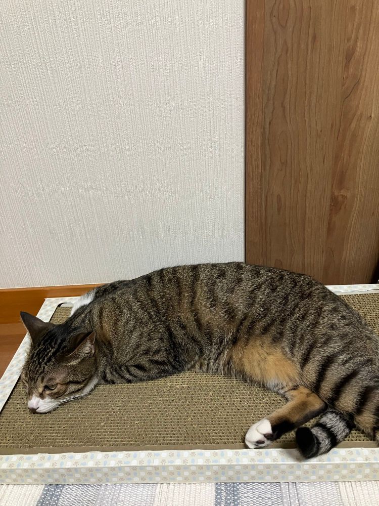 ふう、燃え尽きたわ