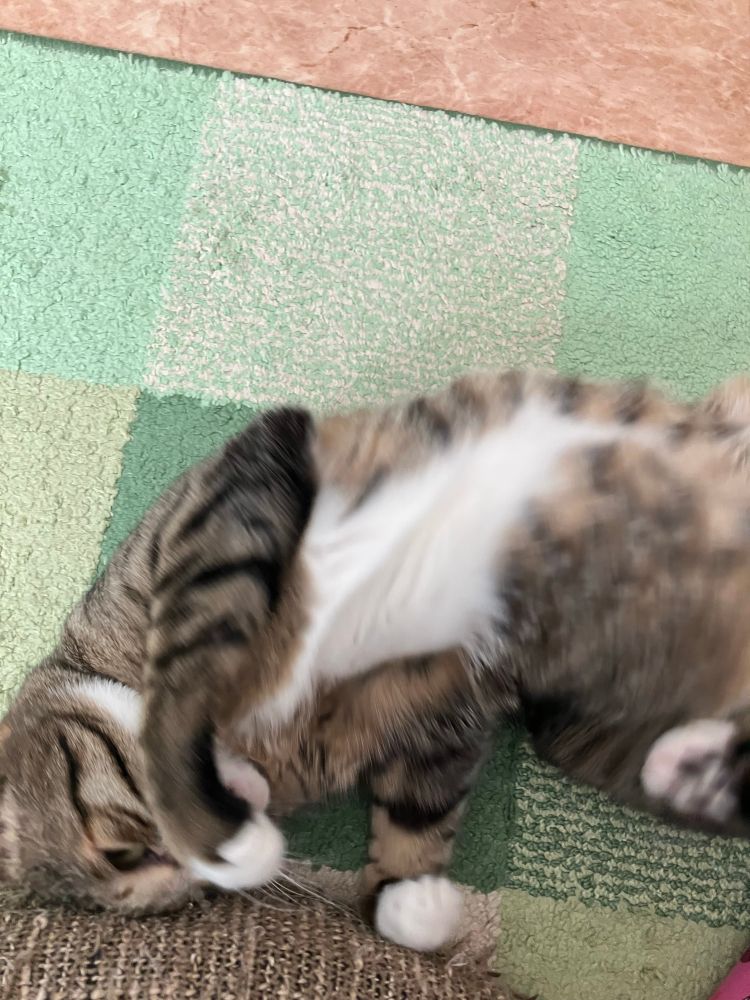 ぐるんっ