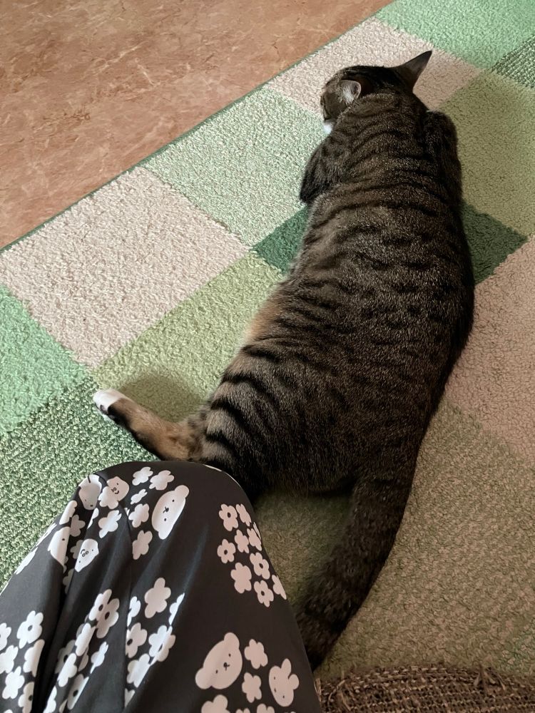 なんとなくふれあう位置にいてくれる