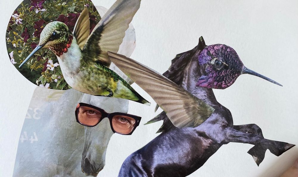 Humming birds win the war against horses in this magazine cut out collage. A rearing horse with the face and wings of a humming bird, a horse with goldblum’s eyes, and just a normal humming bird all over da page.