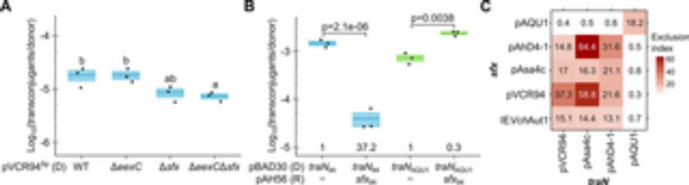 Surface exclusion of IncC conjugative plasmids and their relatives