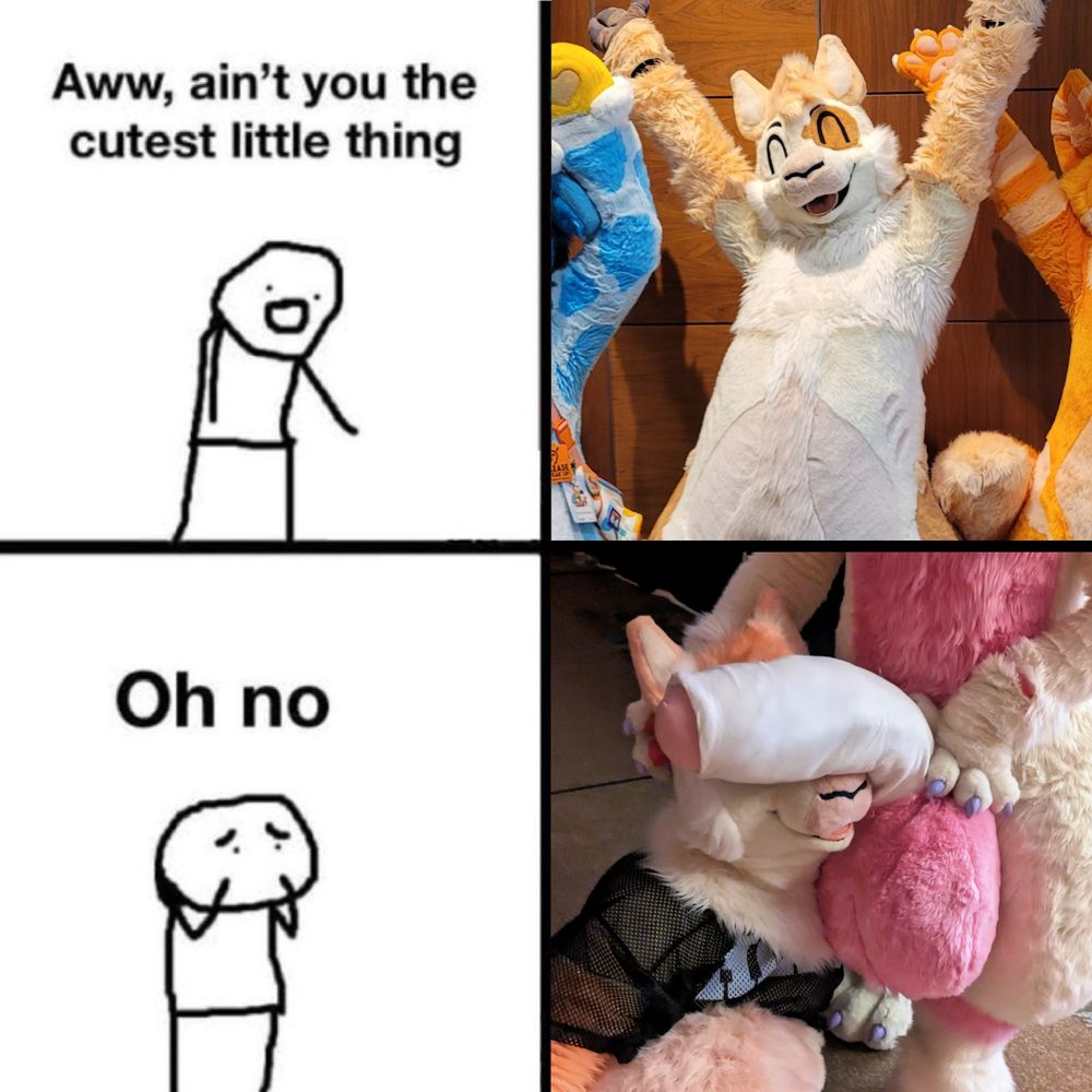NSFW fursuit meme, featuring Olli Alpaca. A stick guy says "Aww, ain't you the cutest little thing" in response to a cute fursuit pic of Olli, and then says "oh no" in response to a pic of Olli with Nargle's huge fursuit cock slung across his muzzle. 
