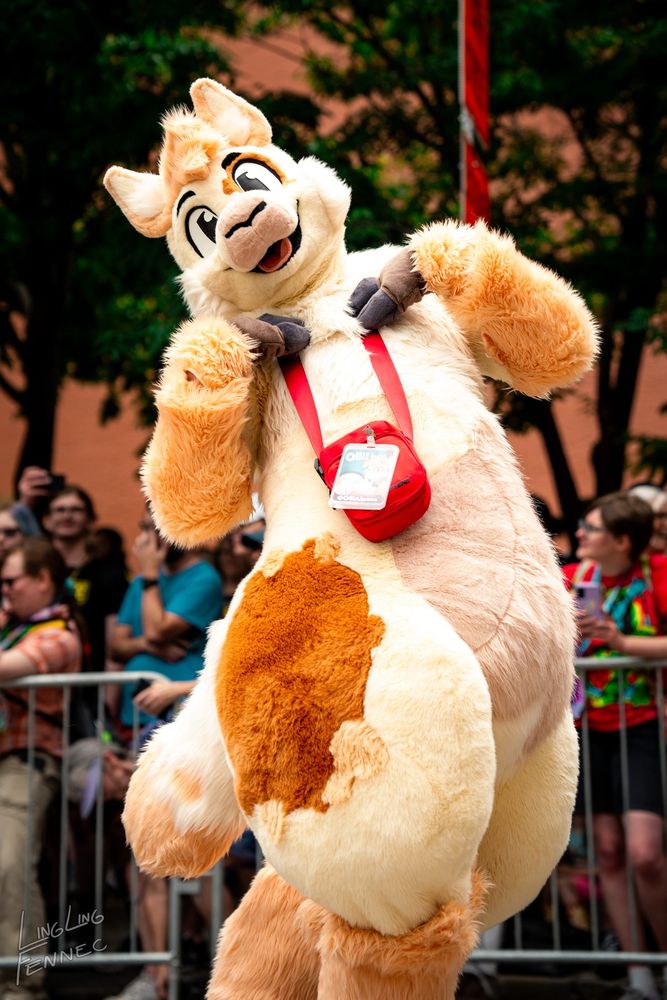 A fursuit photo of Olli the Alpaca, taken by linglingfennec