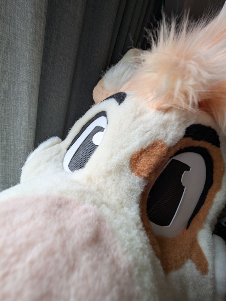 Close up photo of Olli Alpaca fursuit