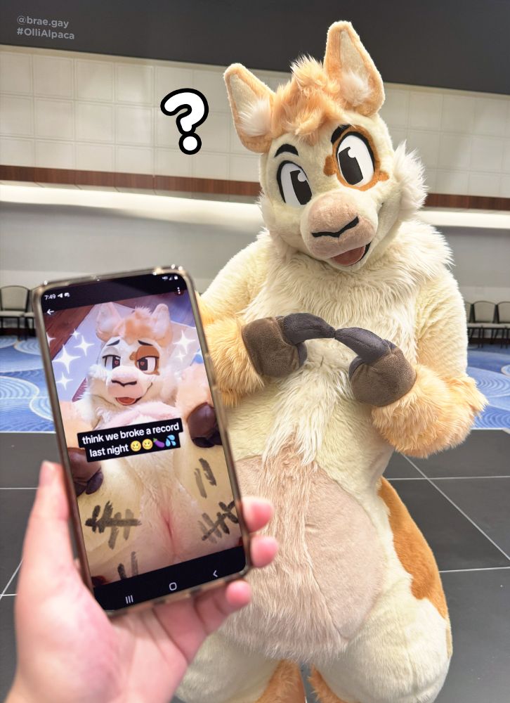 A NSFW edit of a fursuit photo starring Olli, the Alpaca. The viewer has lifted their phone into view, which shows a NSFW photo of Olli showing off his soft pink hole surrounded by faded tally marks after a long slutty night as a free-use party favor. Olli, unaware of what's on the screen, looks cute and confused. #ollialpaca