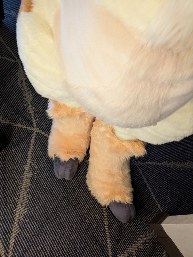 A fursuit photo of Olli Alpaca