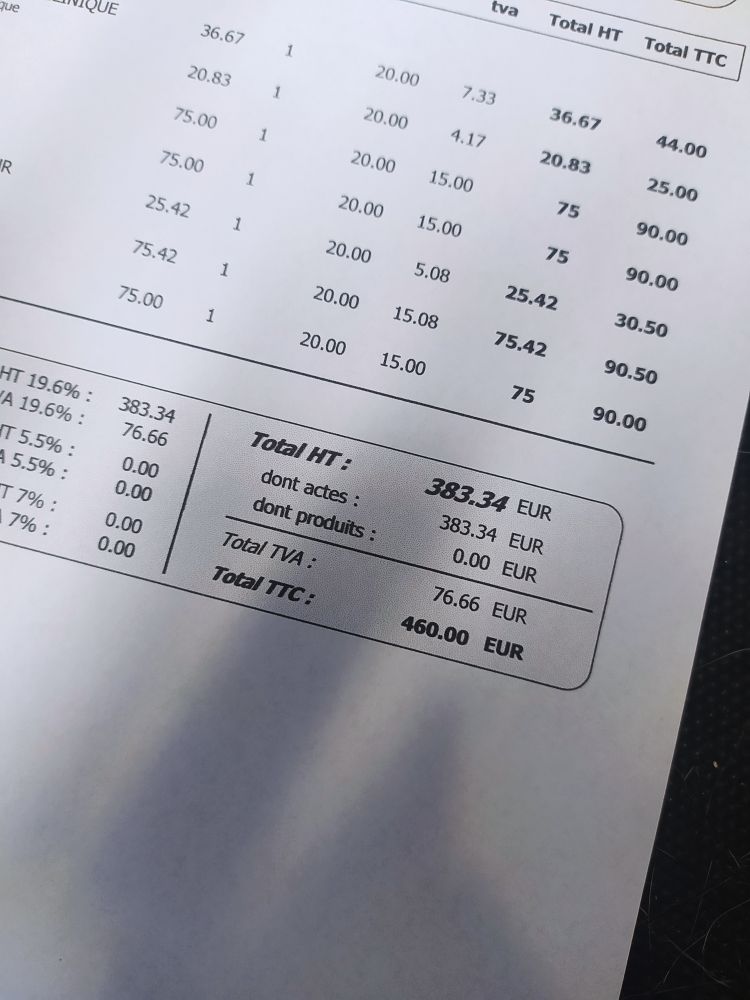 Une partie du devis du cabinet vétérinaire, pour l'instant le montant est de 460€ TTC.