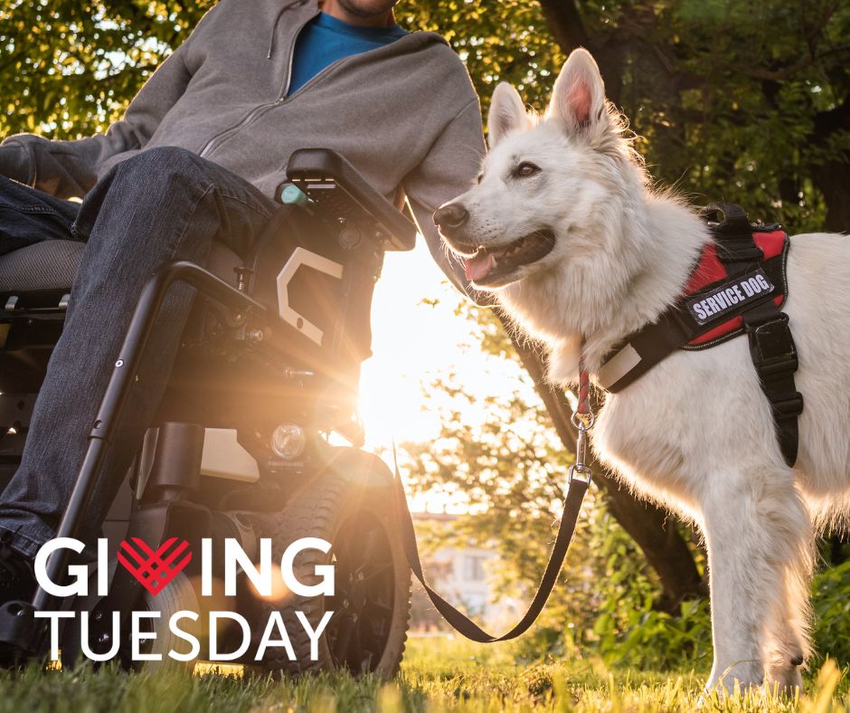 A bright Fall sun shines between a fluffy white service dog and their wheelchair using handler. The ‘Giving Tuesday’ logo is in the lower left corner.