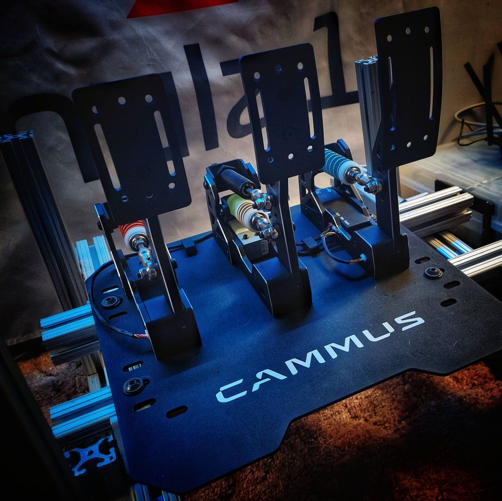 Five Months with the Cammus LC100 (V2) Pedals Review