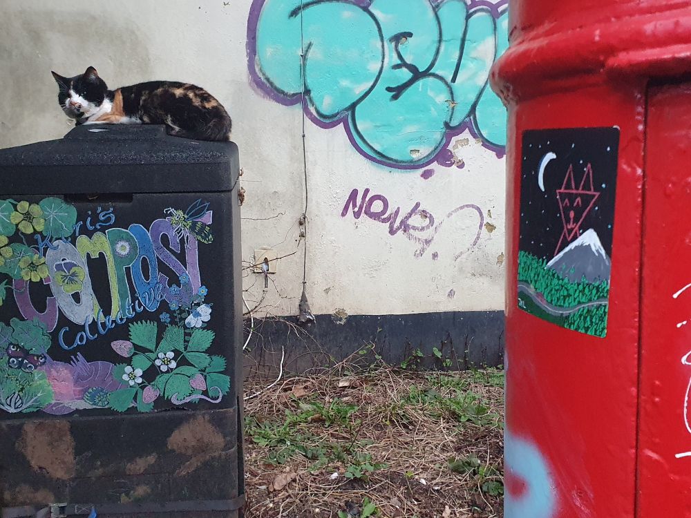 Image of a 7AL sticker on a red postbox, depicting a country road with trees and a mountain with 7AL'S character Vee outlined in the night sky. There is some graffiti visible on the wall behind the postbox, as well as a tortoiseshell cat on a compost box.