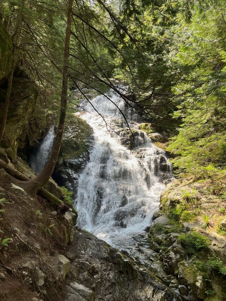 Kennedy Falls with sunshine illuminating part of the falls.