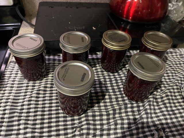 Mason jars of jam cooling on a checkered dish towel.
