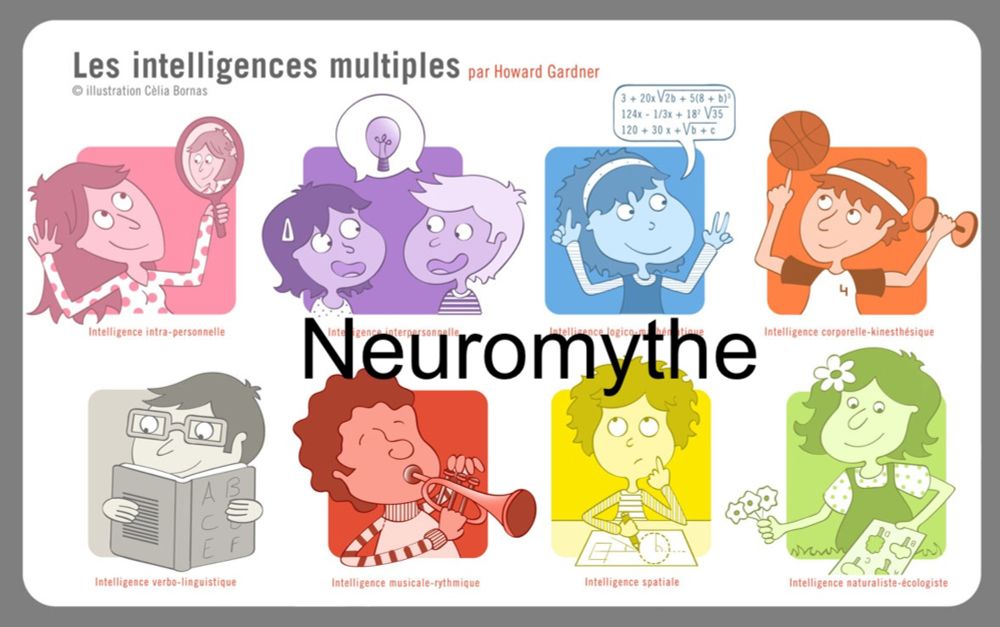 Le neuromythe des intelligences multiples