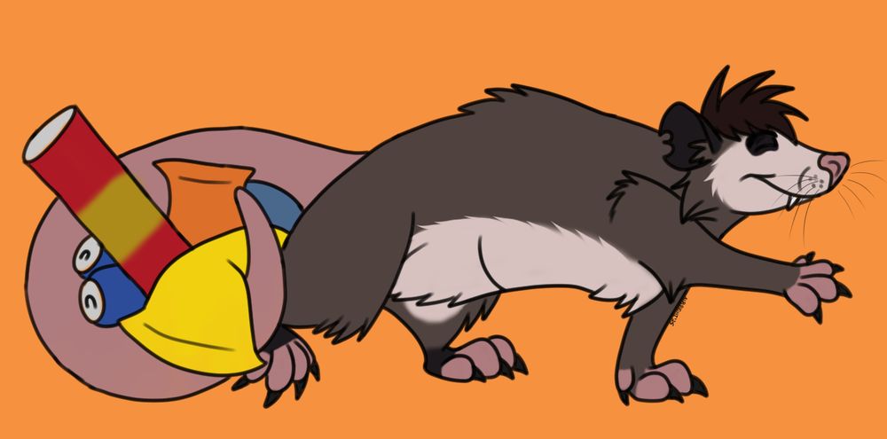 A full body portrait of a feral gray opossum, with a white face and chest/belly, black ears, brown hair, and pink tail, toes/fingers, and nose. She's walking with her tail curled around a pile of snacks and drinks, taking a big steppy to the right. The background is orange.