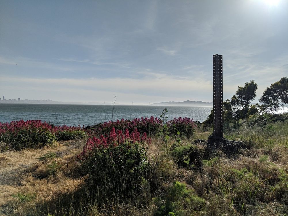 A horizontal picture of a hill overlooking a large body of water. The hill is full of valerian and there's a large pillar full of holes coming out of the ground. 
