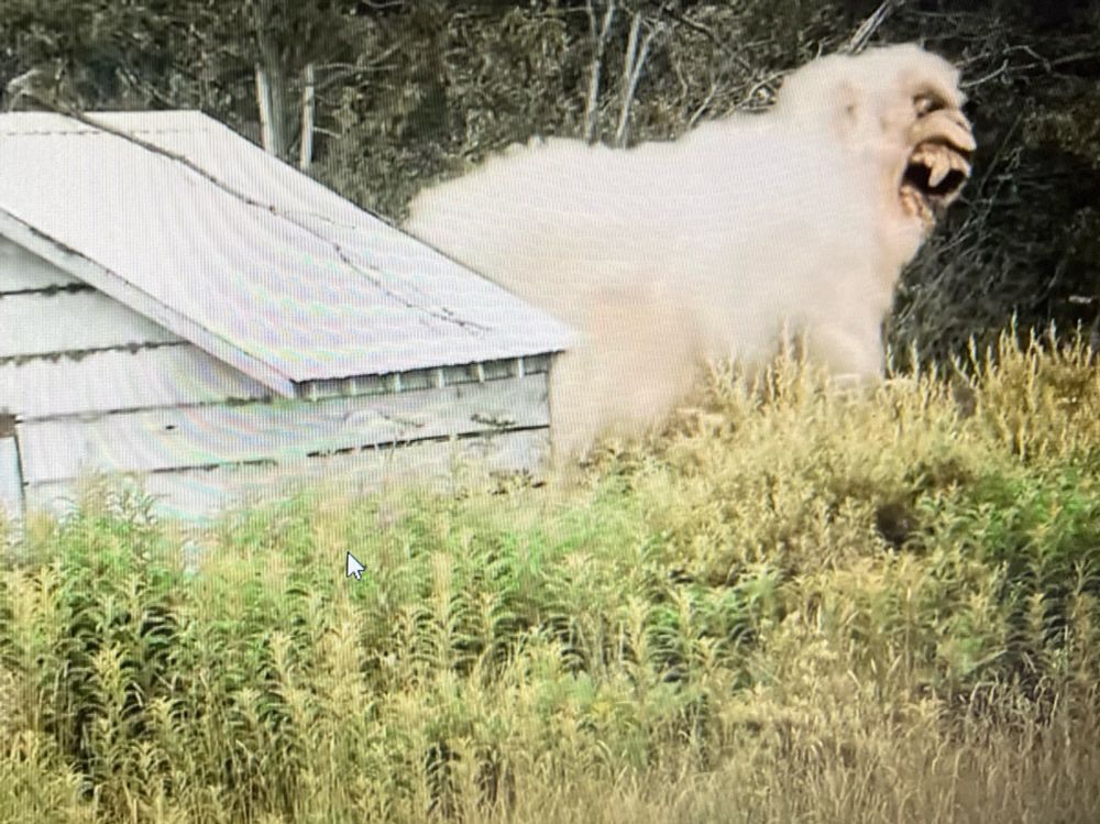 A giant yeti of some sort stands behind a small shed, he is unrelenting and clearly a man in a costume