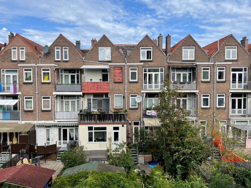 Dutch houses with their gardens, seen from my friends’ balcony