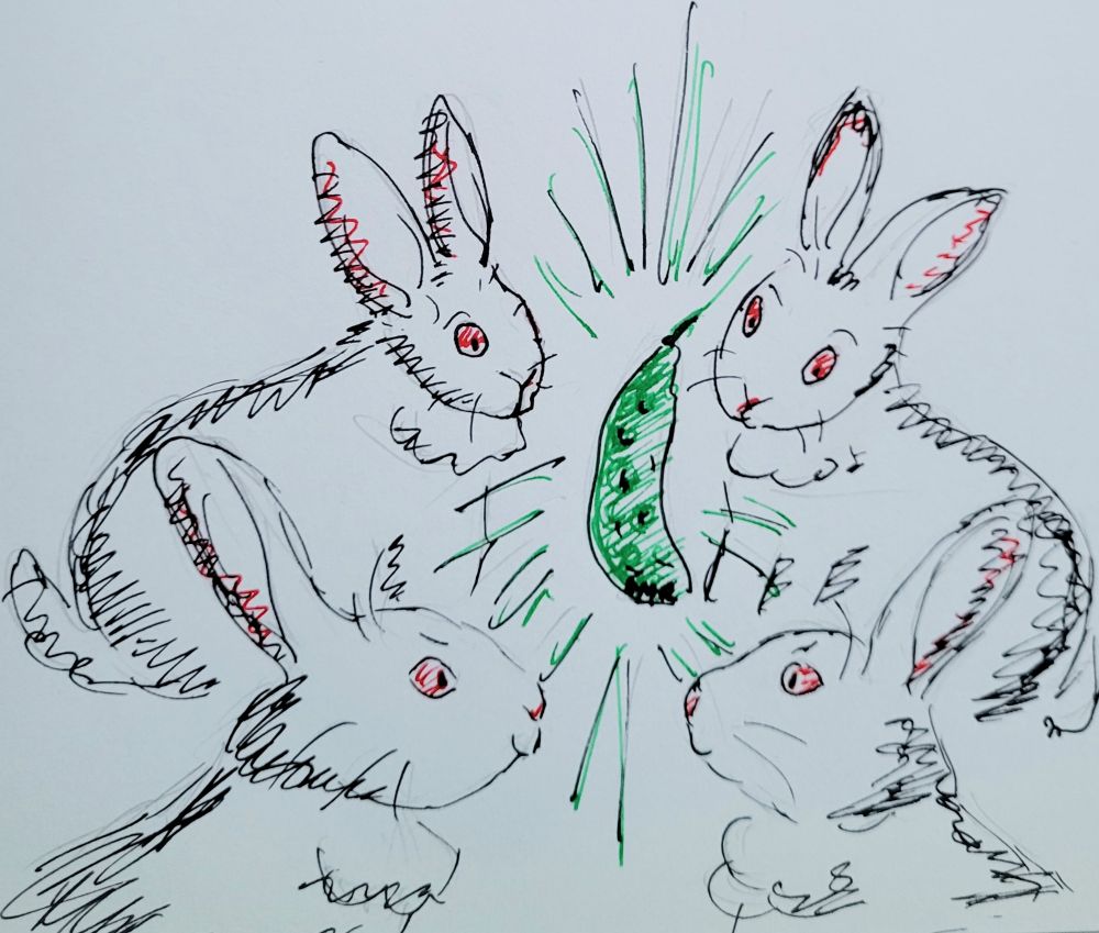 A drawing of four albino rabbits looking expectantly at a glowing cucumber floating in the middle of them 