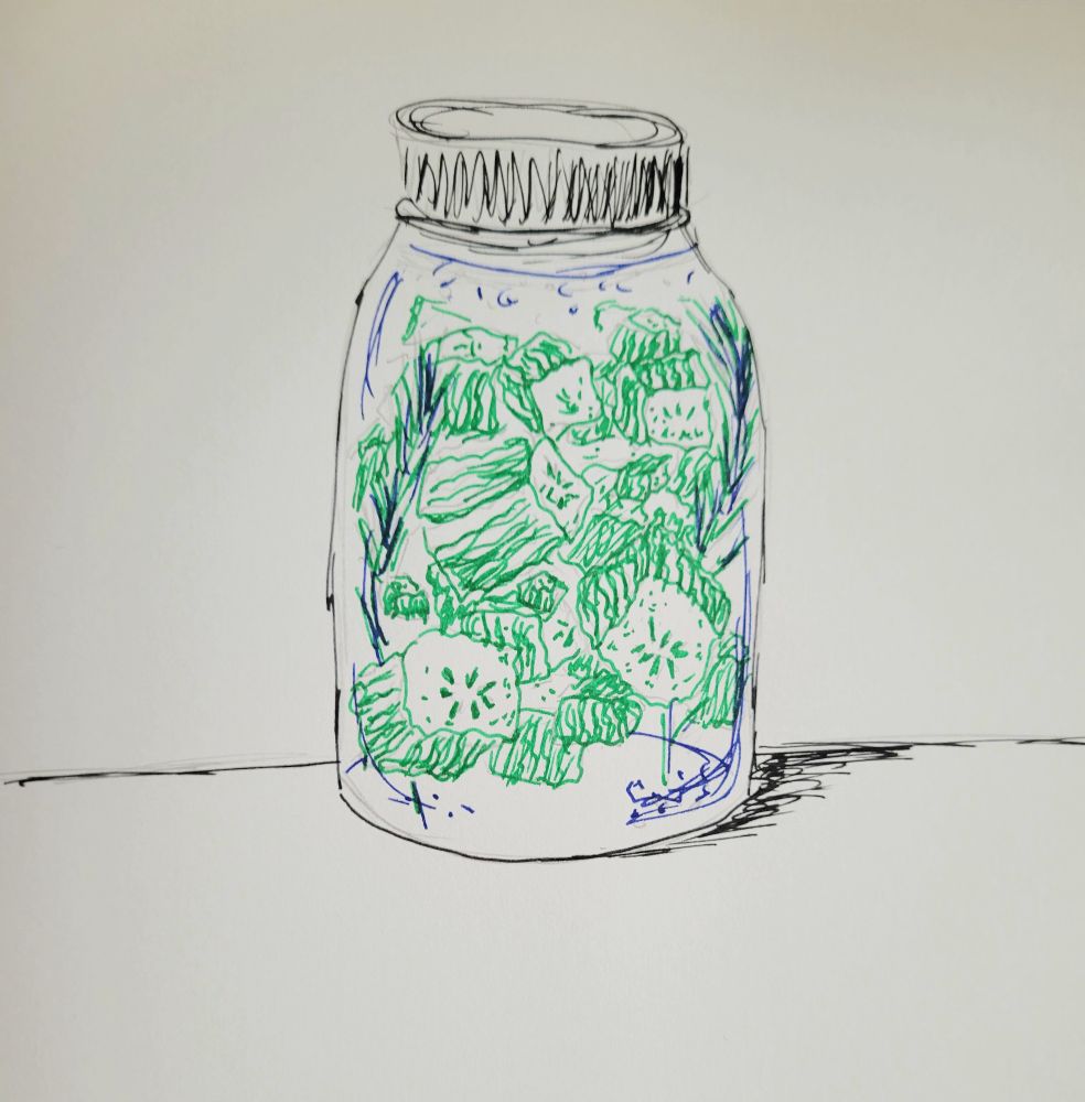 Drawing of light green pickle-like cubes in a glass jar