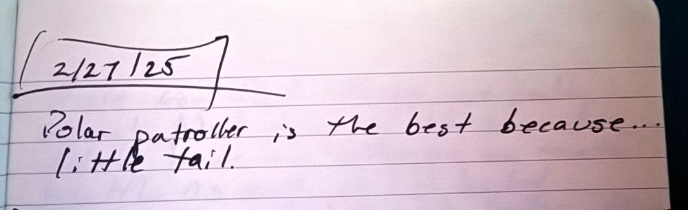 A page from Otto’s video game notes notebook:

2/27/25

Polar Patroller is the best because… little tail.