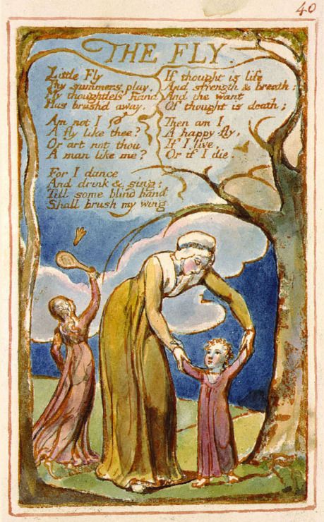 William Blake's 'The Fly'