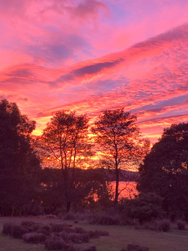 Ominous red, pink, orange sky at dawn with stripey clouds and orange water through trees