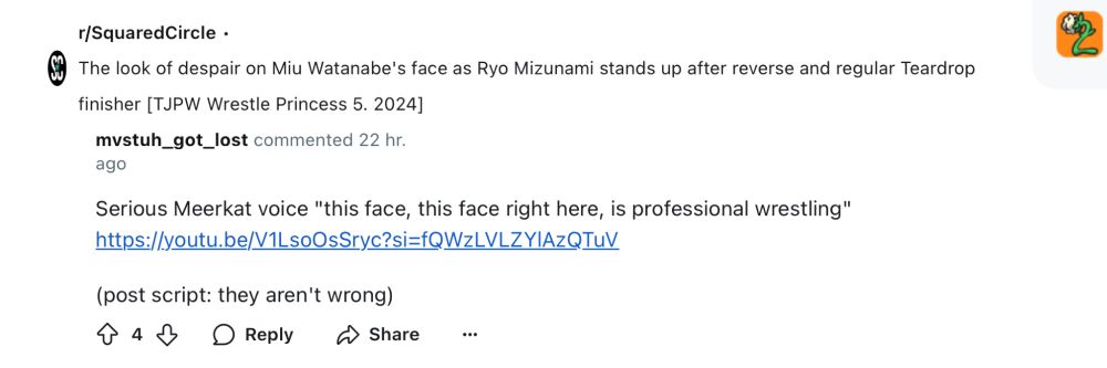Screenshot of a Reddit comment reading "Serious Meerkat voice "this face, this face right here, is professional wrestling"
https://youtu.be/V1LsoOsSryc?si=fQWzLVLZYlAzQTuV

(post script: they aren't wrong)"