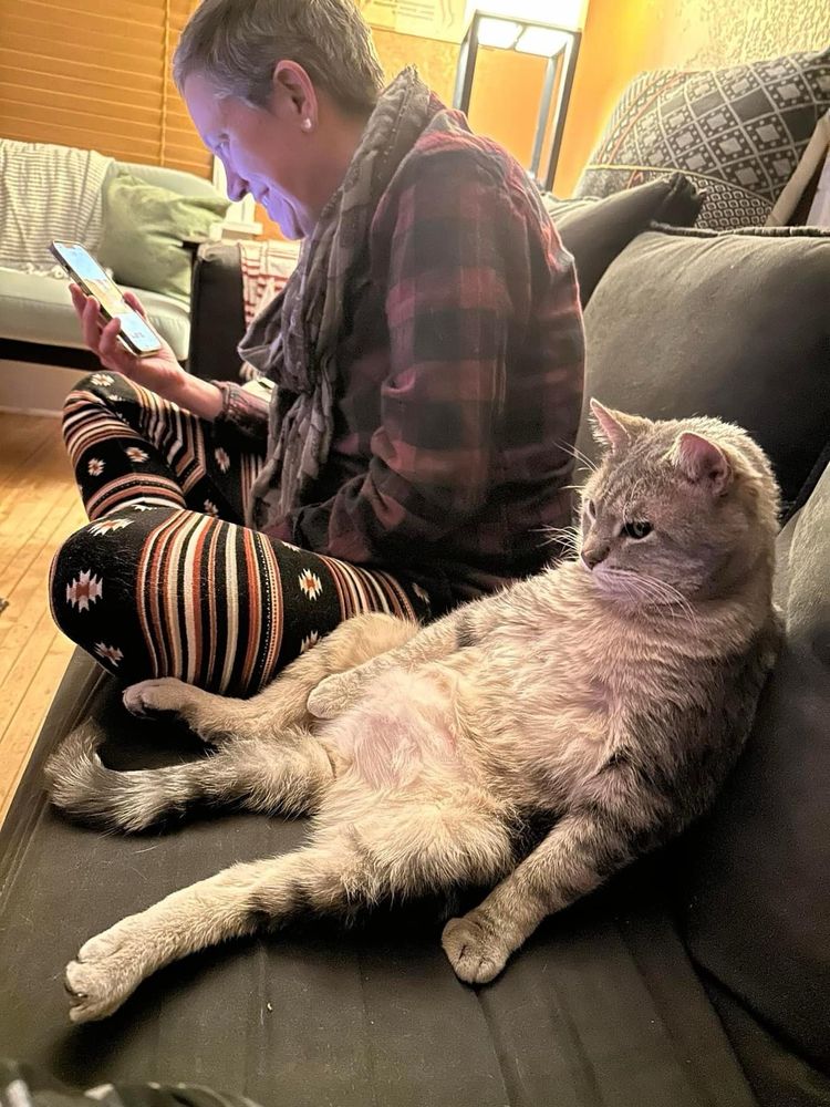 Our tabby cat, Gerald, sitting next to me on the couch. He’s sitting like a human, slouched back with his belly facing outward.