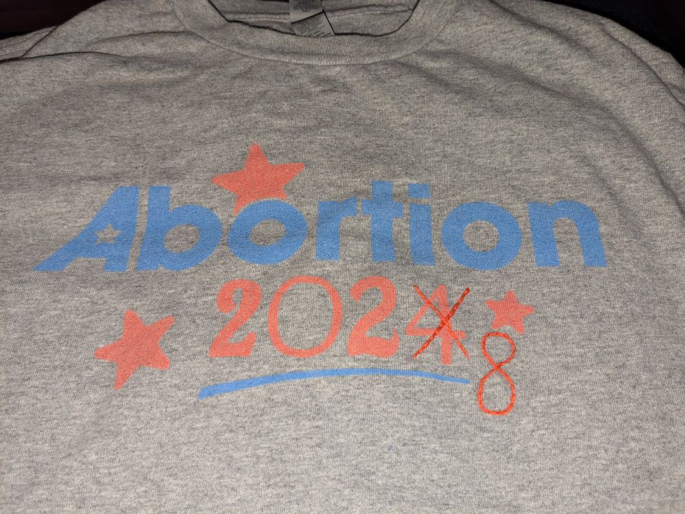 Gray shirt with "Abortion 2024" printed on it, but embroidery crosses out the 4 and writes in an 8