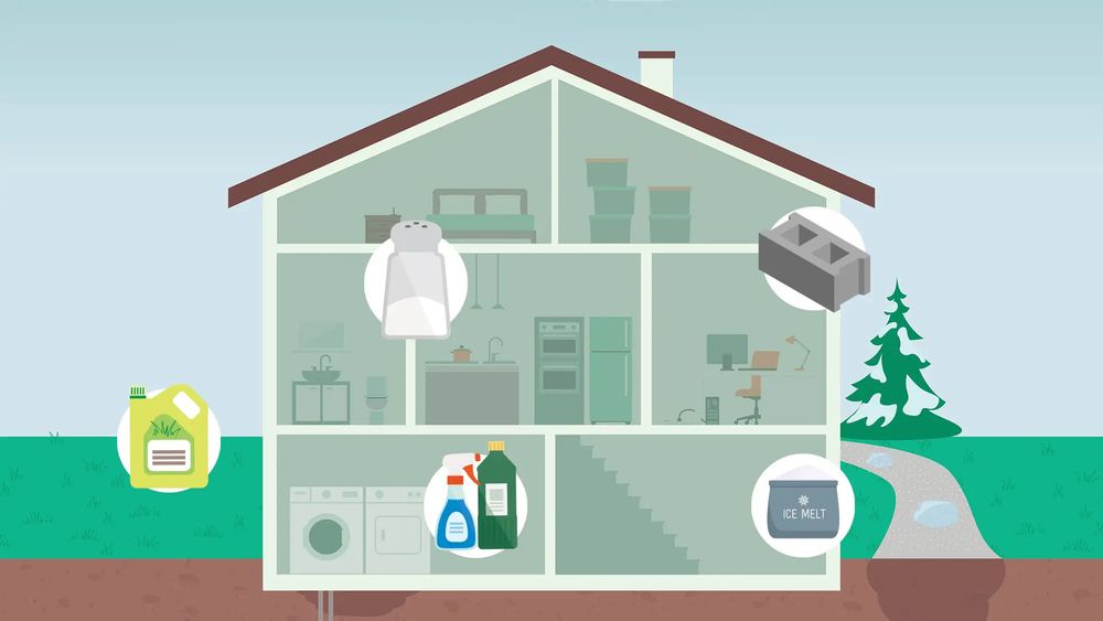A cutaway image of a house with sources of salt shown on top.  These are table salt, concrete, household cleaning supplies and fertilizers.