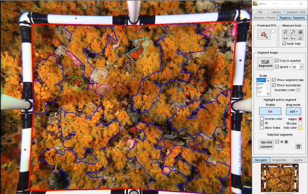 Underwater quadrat of benthic fauna and flora being analysed by AI identifying species