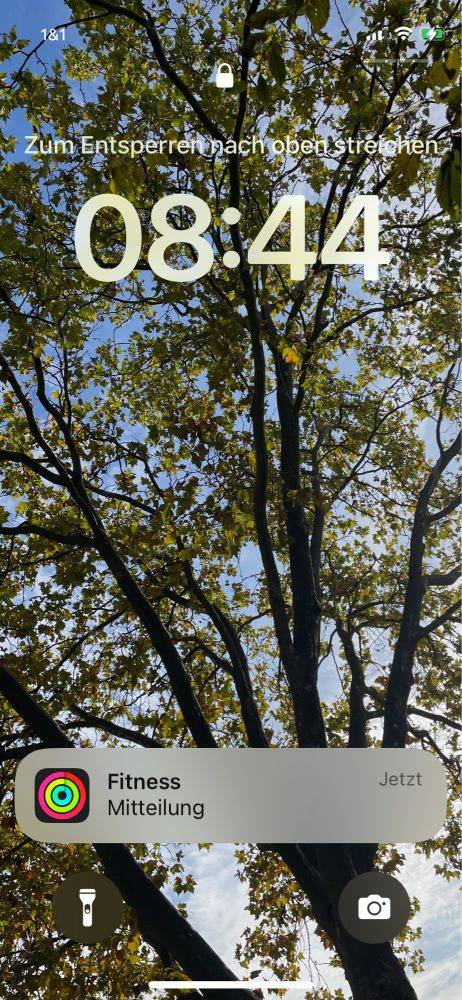 Bild meines Sperrbildschirms, eine Baumkrone im Gegenlicht. Uhrzeitanzeige und Fitnessmitteilung sind auch eingeblendet. Außerdem Taschenlampen- und Kamerabutton.