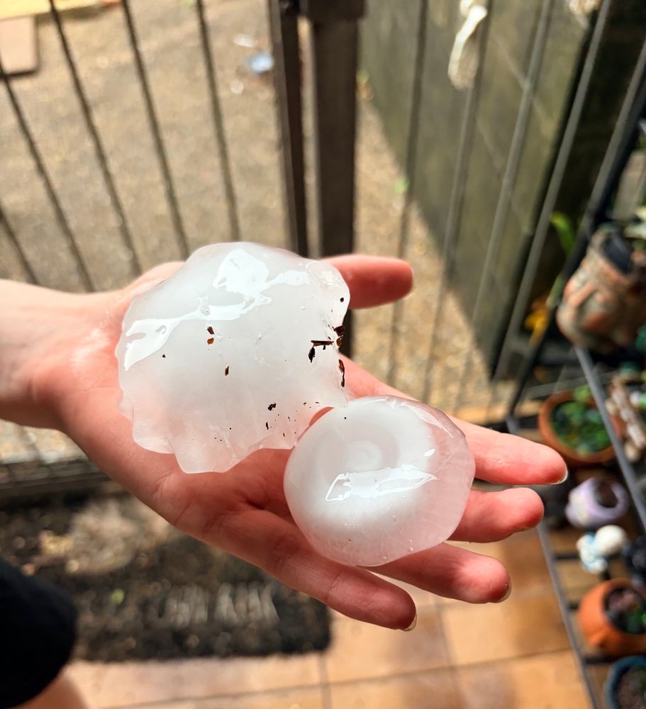 Two large hail stones held in the palm of a hand. One stone is slightly larger, and has a spiked texture. The smaller stone is smooth, with visible rings within the ice
