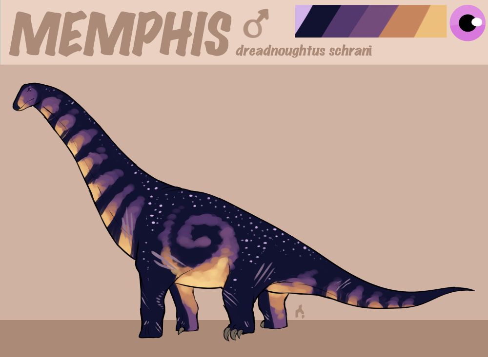 a reference image of a old and scarred purple, orange and yellow sauropod dinosaur (dreadnoughtus) named memphis