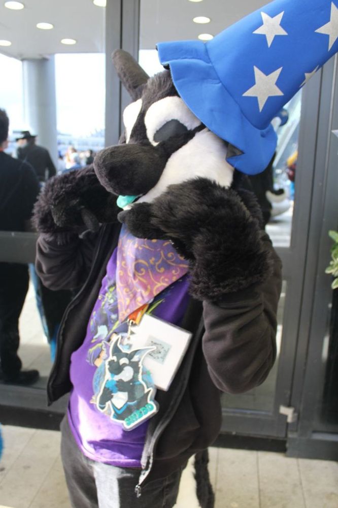 shedd the manokit fursuit wearing a wizard hat