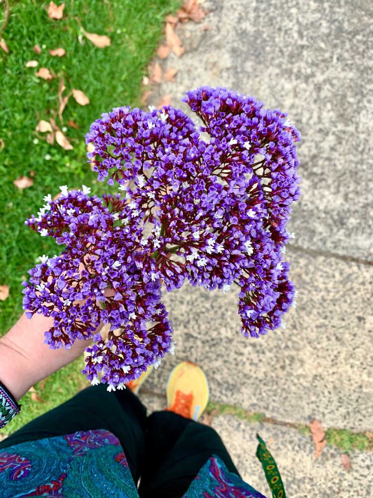 Aerial perspective of someone holding a bunch of purple status flowers in their left hand whilst walking on a footpath. They are wearing black pants and yellow and orange sneakers, a multicoloured paisley shirt and there is a “hidden disabilities” sunflower lanyard hanging from their right belt loop 