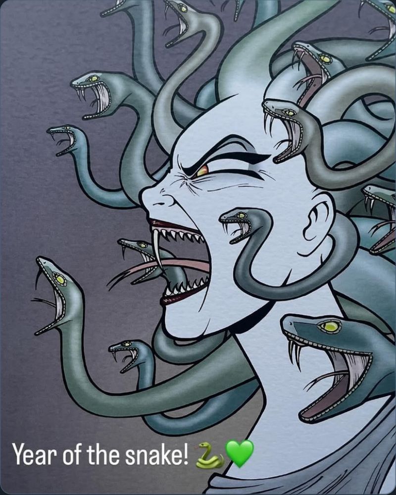 drawing of an angry medusa like character with angry snakes coming from her head.  From the book Nemi by Lise Myhre.