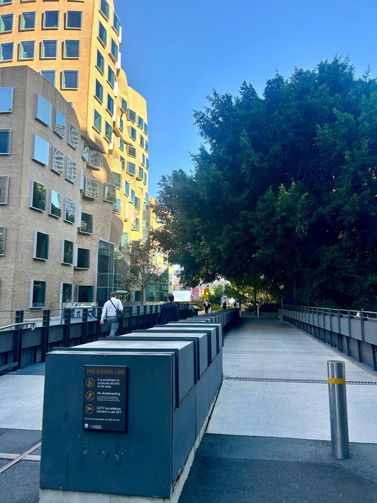 Wide pedestrian pathway with sunlight illuminating a tall yellow UTS building to the left, trees creating a canopy on the right, clear blue sky, with a few pedestrians visible. It’s the Goods Line in Ultimo, Sydney. 