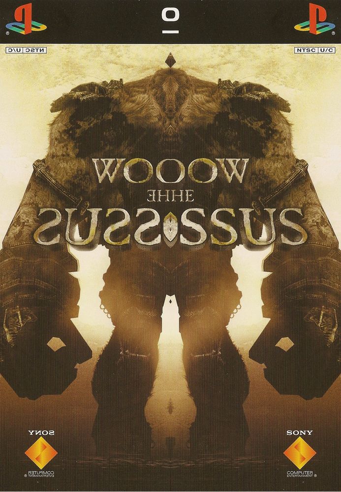Mirrored shadow of the colossus box art