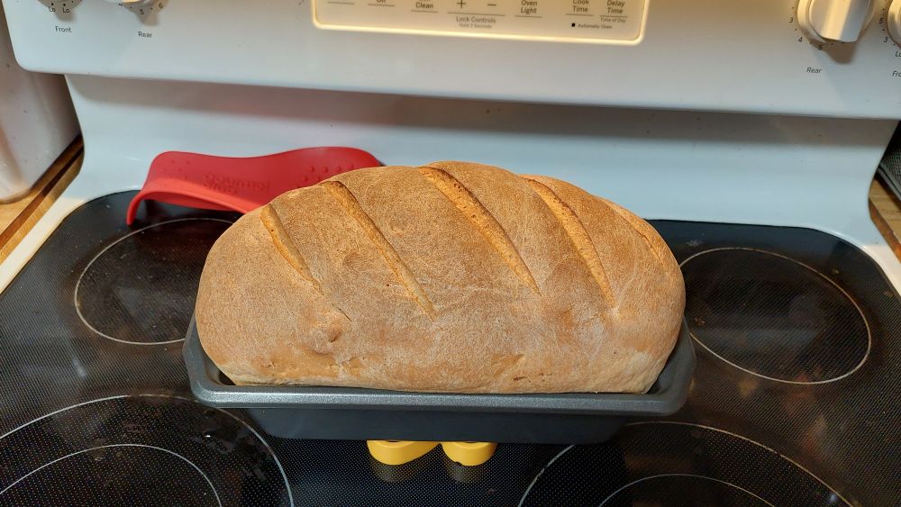 A homemade loaf of bread. It is symmetrical and beautifully scored. The baker was inordinately proud of it