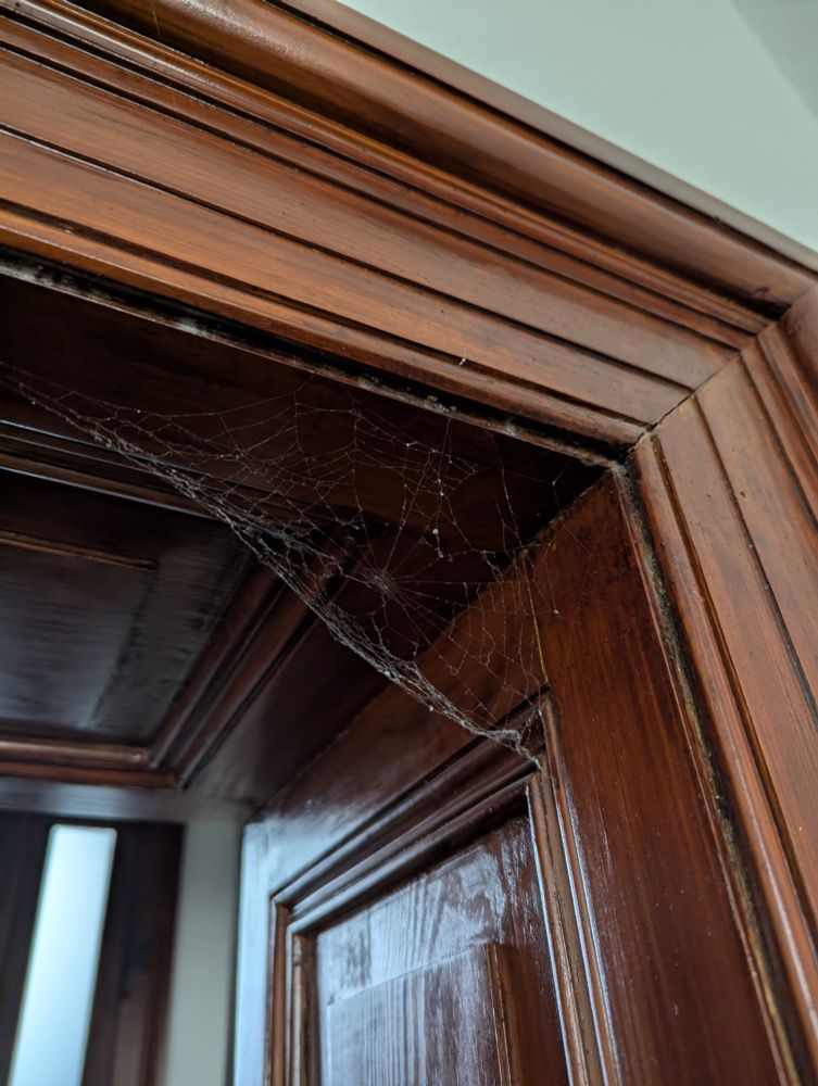 Spinnenweben im Türrahmen 