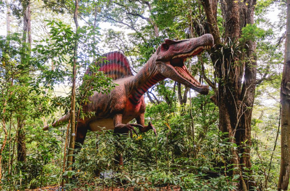 Rota Vale dos Dinossauros: uma iniciativa de turismo criativo e colaborativo na Paraíba