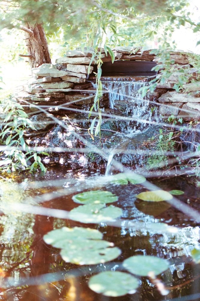 Fish pond and waterfall at The Gateway Playhouse in Bellport, NY. There are a few Lily pads floating on the water. Shot on Portra 400 at ISO 200 Using a Canon AE-1. 